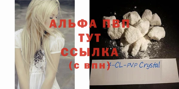 индика Белоозёрский