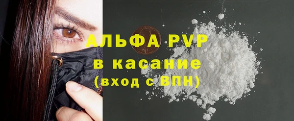 индика Белоозёрский