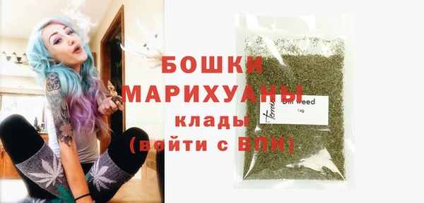 индика Белоозёрский
