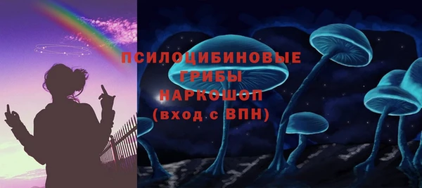индика Белоозёрский